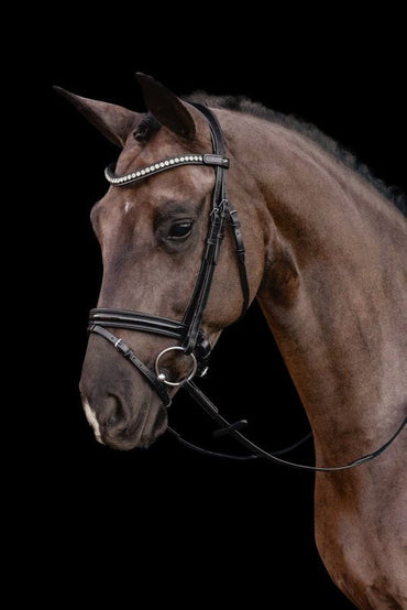 Ogłowie skórzane Schockemohle Palermo Black AW 24/25 - Cavalo