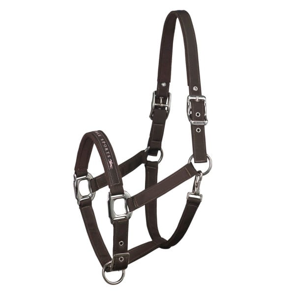 Schockemohle Kantar Memphis chocolate - Cavalo