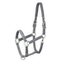 Schockemohle Kantar Memphis navy - Cavalo