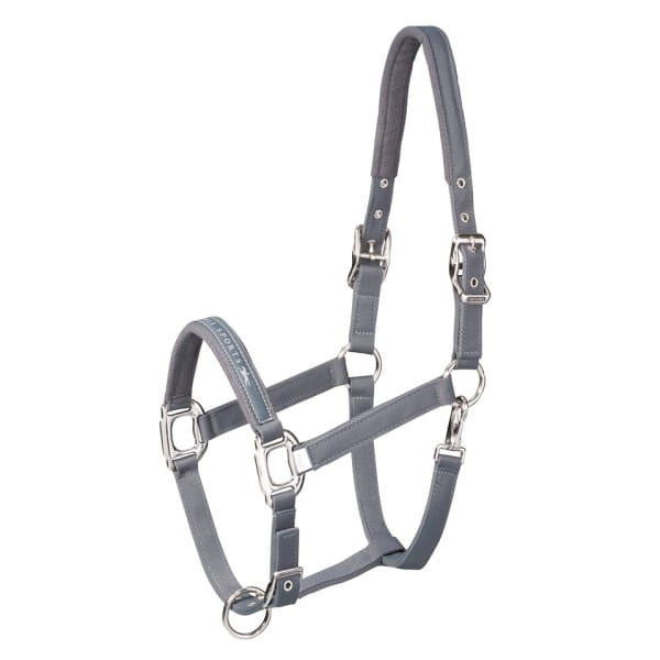 Schockemohle Kantar Memphis navy - Cavalo