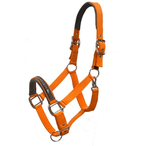Schockemohle Kantar Memphis orange - Cavalo