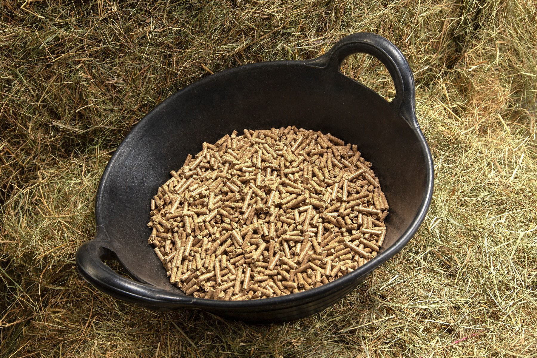 Pasza Spillers High Fibre Cubes dla koni i kuców zagrożonych ochwatem 20 kg - Cavalo