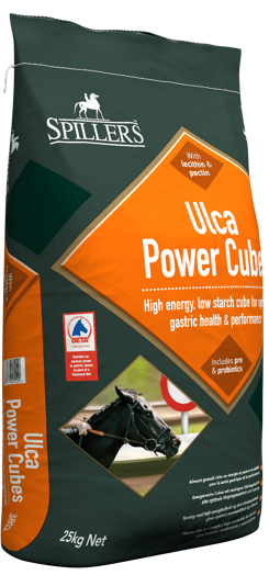 Pasza Spillers Ulca Power Cubes na chorobę wrzodową układu pokarmowego 25 kg - Cavalo