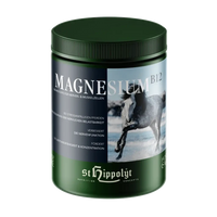 St. Hippolyt Magnesium B12 1kg - Cavalo