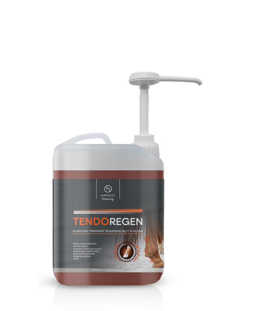 Hippovet Pharmacy TendoRegen regeneracja i wzmocnienie ścięgien