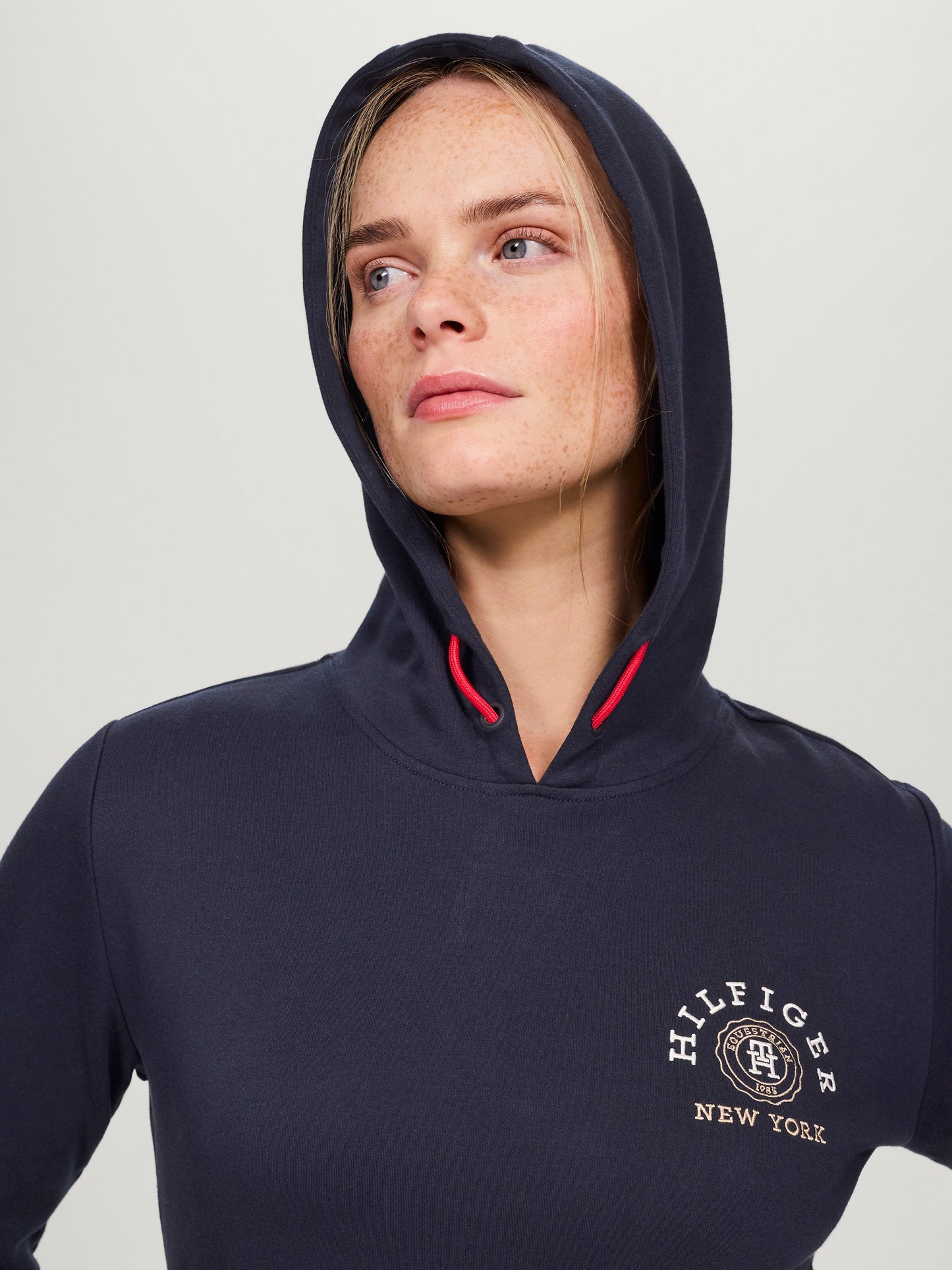 Bluza z kapturemTommy Hilfiger Richmond DESERT SKY - Cavalo