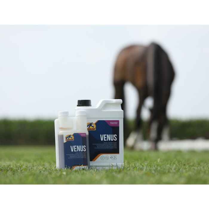 Cavalor Venus Naturalny suplement dla klaczy w rui