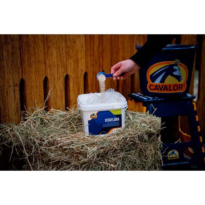 Cavalor VitaFlora Pre i probiotyki dla konia 2 kg