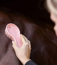 WALDHAUSEN All in one Brush zestaw szczotek do pielęgnacji koni - Cavalo