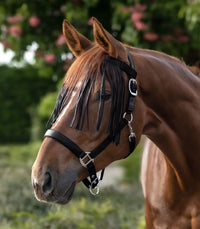 Waldhausen Frędzle przeciw owadom na rzep - Cavalo