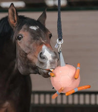 Waldhausen Piłka na marchewki dla koni - Cavalo
